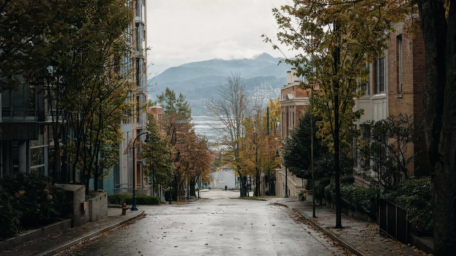 A tree-lined Vancouver street in soft daylight, with low-rise buildings and parked cars.